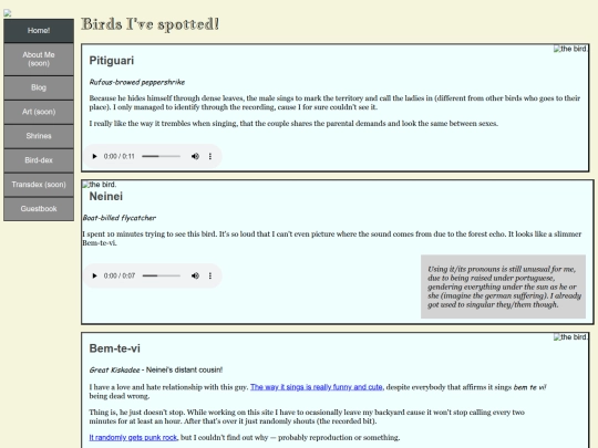 birds screenshot