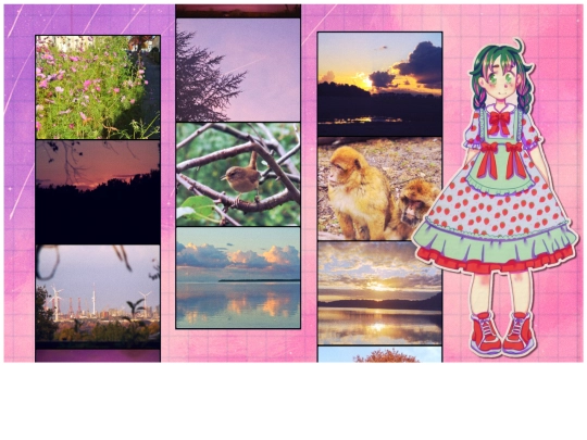 Photo screenshot