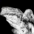 ons-en-fr.neocities.org avatar