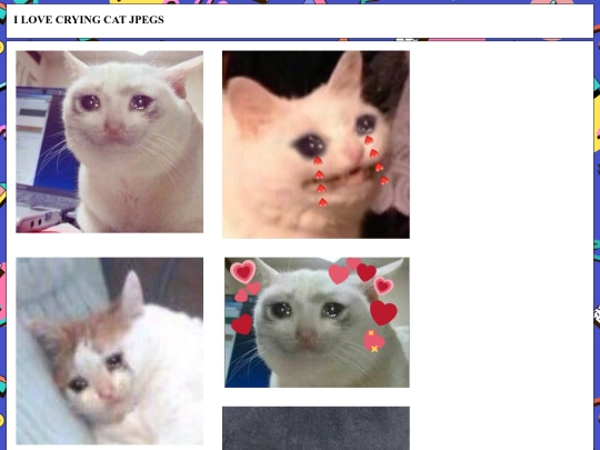 cats screenshot