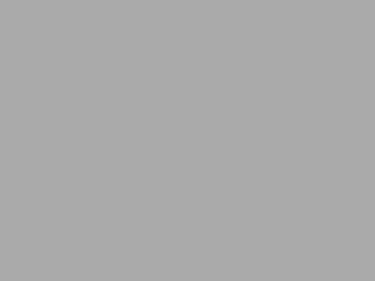 css screenshot