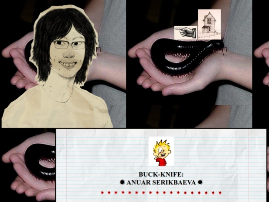 anuar screenshot