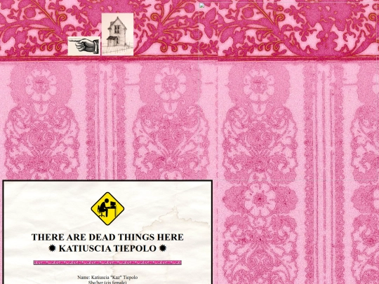 kaz screenshot