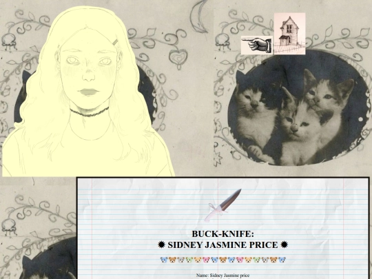 sidney screenshot