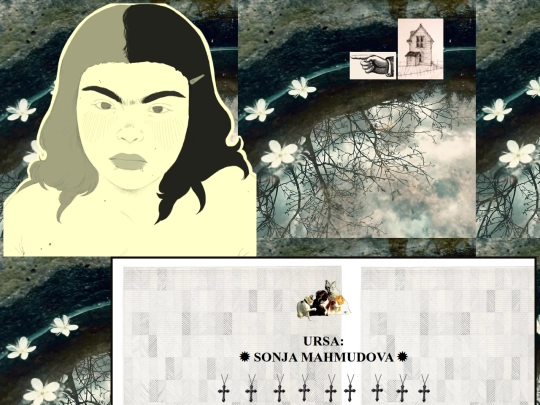 sonja screenshot