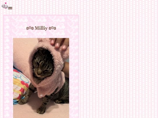 milliy screenshot