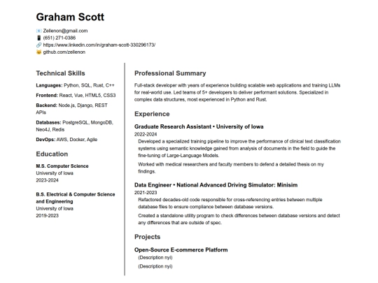 resume3 screenshot