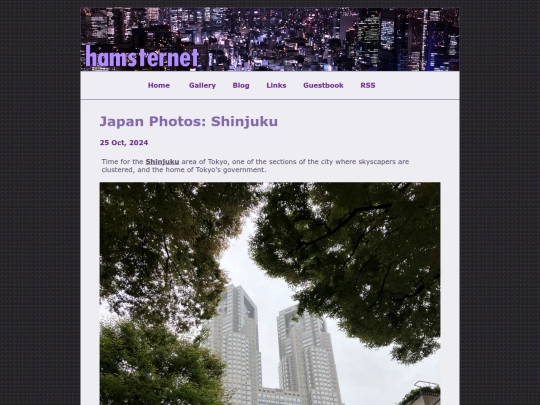 posts/2024-10-25-Japan-Photos-Shinjuku screenshot