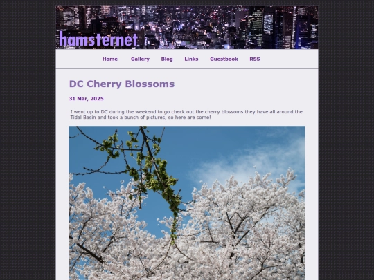 posts/2025-03-31-DC-Cherry-Blossoms screenshot