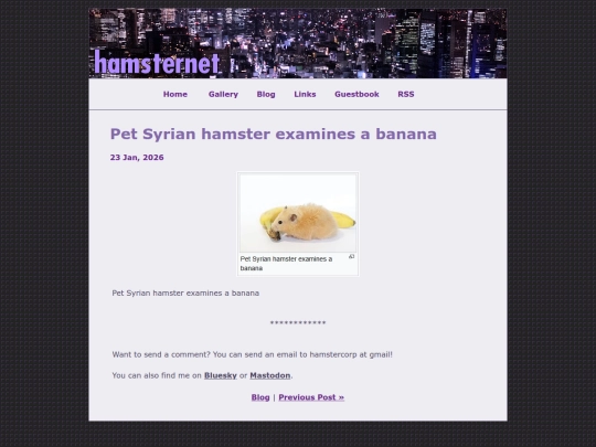 posts/2026-01-23-Pet-Syrian-hamster-examines-a-banana screenshot