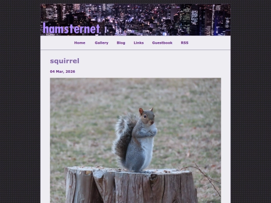 posts/2026-03-04-squirrel screenshot