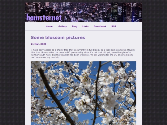 posts/2026-03-21-Some-blossom-pictures screenshot