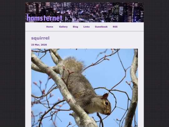 posts/2026-03-23-squirrel screenshot