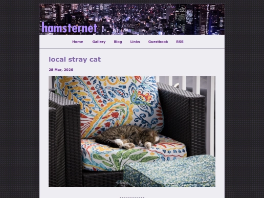 posts/2026-03-28-local-stray-cat screenshot