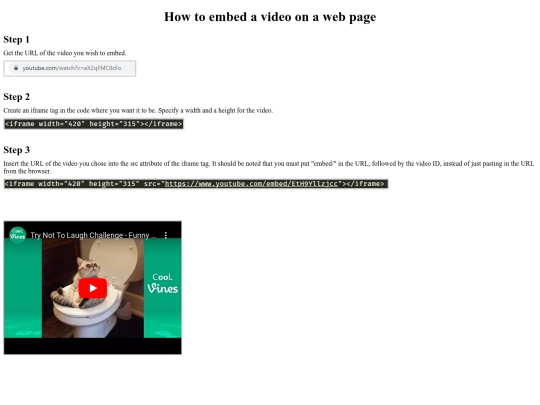 video/video screenshot