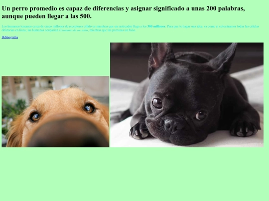 practica1 screenshot