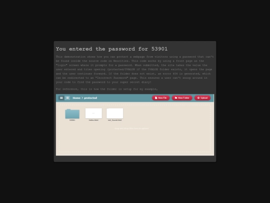 demos/protected/53901 screenshot