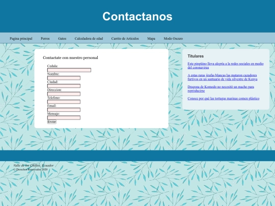 pag/contacto screenshot