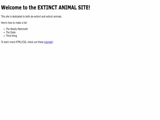 index screenshot