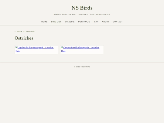 birds/ostriches screenshot