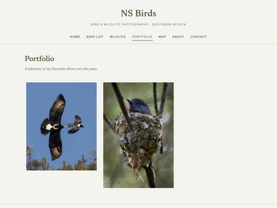 portfolio screenshot