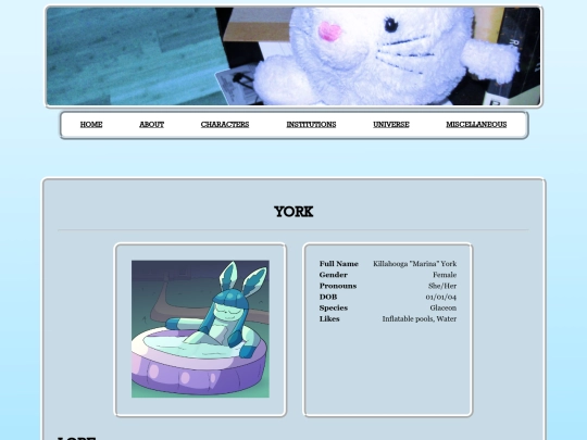 characters/POKEMON/YORK screenshot