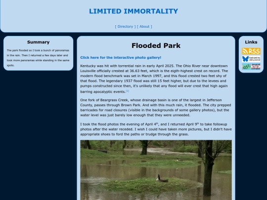 flooded-park-splash screenshot