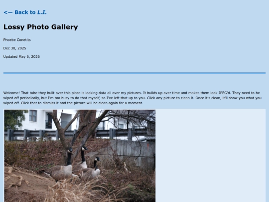 lossy-loss-gallery screenshot