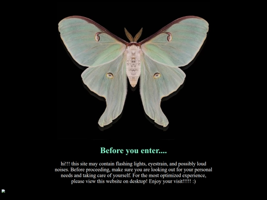 mothscreen screenshot