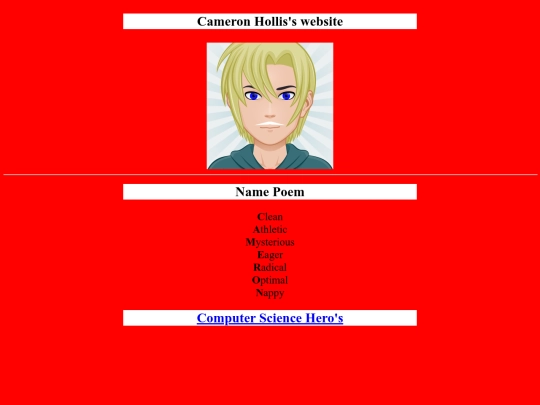 project screenshot