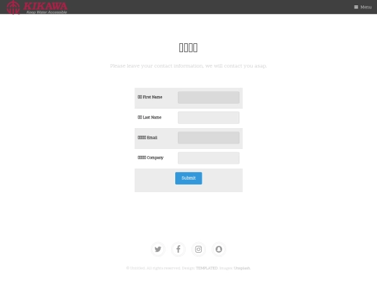 demo/Web2Lead screenshot
