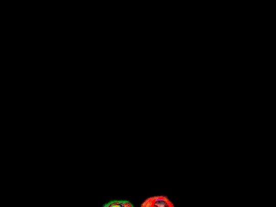 darkcarnival/transce screenshot