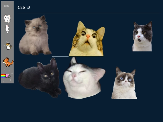 CuteCats screenshot