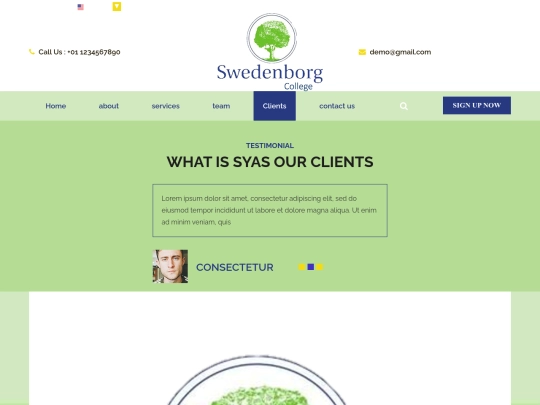 client screenshot