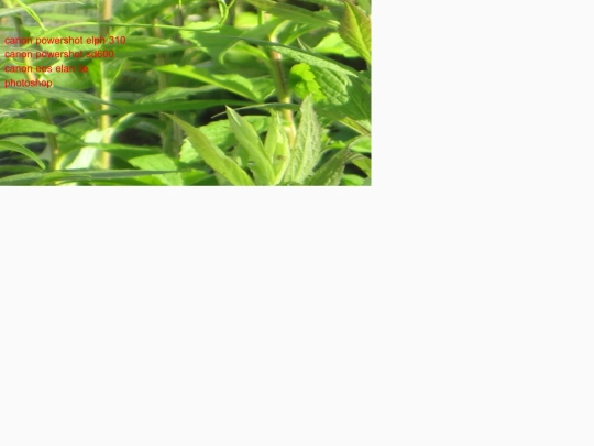 gallery screenshot