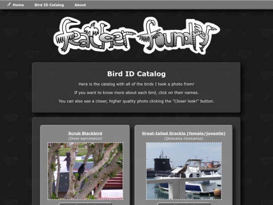 src/views/catalog screenshot