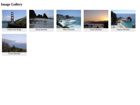 gallery screenshot