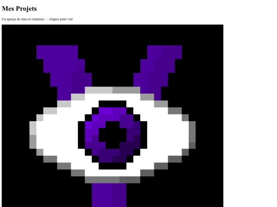 html/projet screenshot