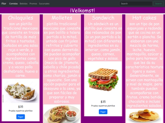 paginas/paginaa screenshot