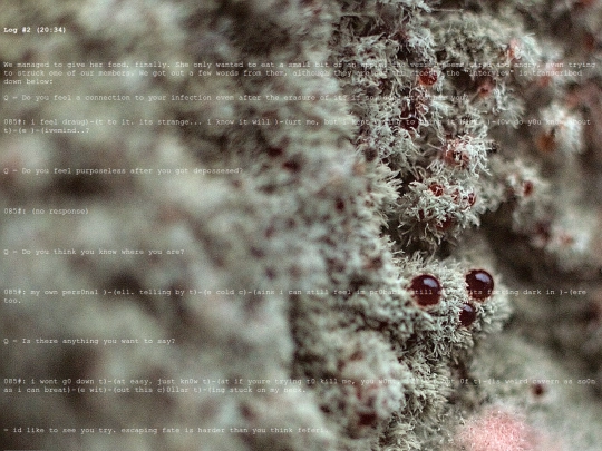log2 screenshot