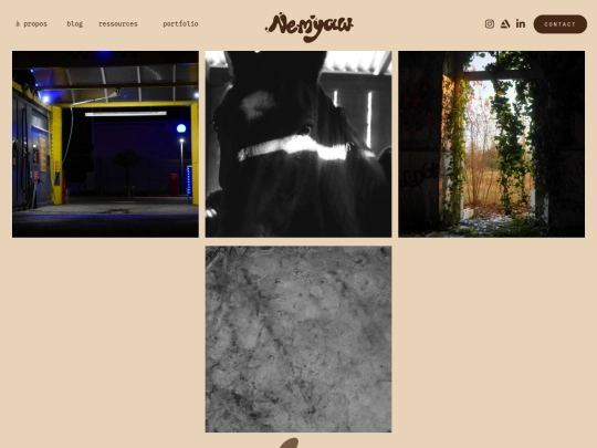 photographie screenshot