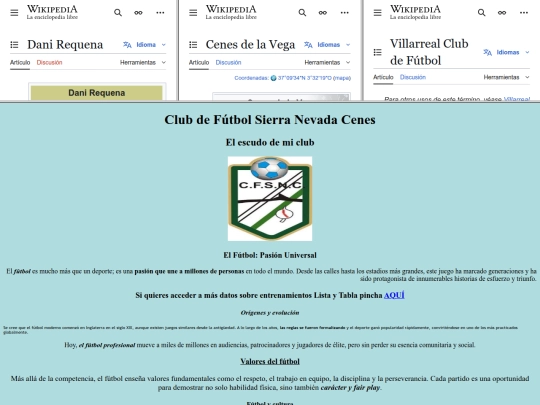 mi_web screenshot