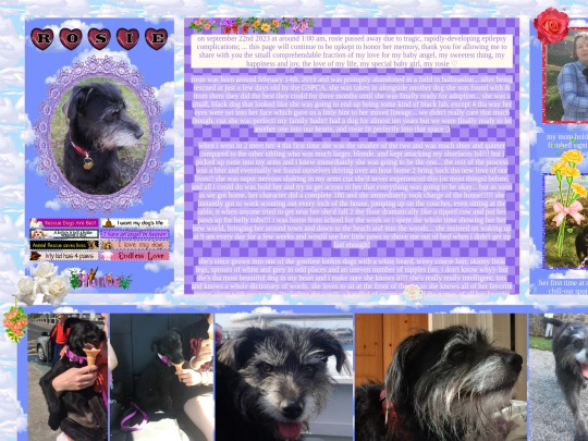 rosie screenshot