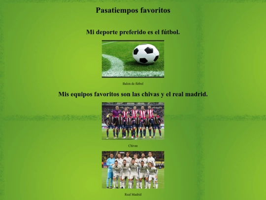 actividad24/Aficiones screenshot
