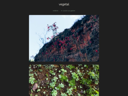 vegetal screenshot