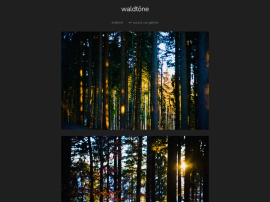 waldtoene screenshot