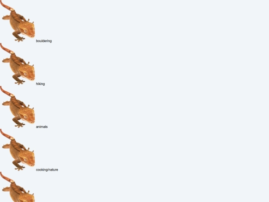 index_macaw screenshot