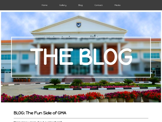 blog screenshot
