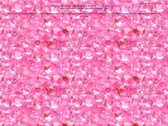 ptv/home screenshot