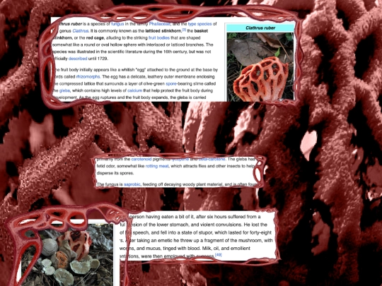 warriorsymbol6 screenshot